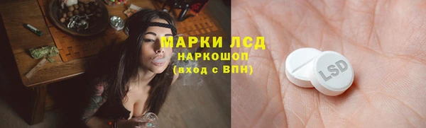 гидра Алексеевка